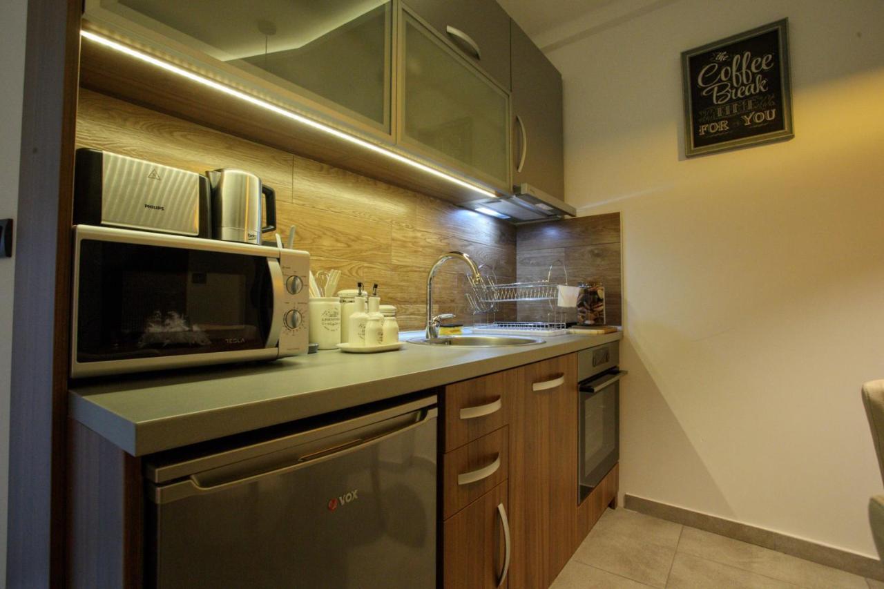 Apartman Big Milmari S19 Kopaonik Kültér fotó